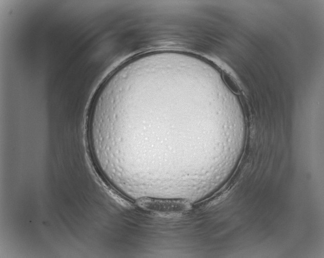 X0000071931333200608041451