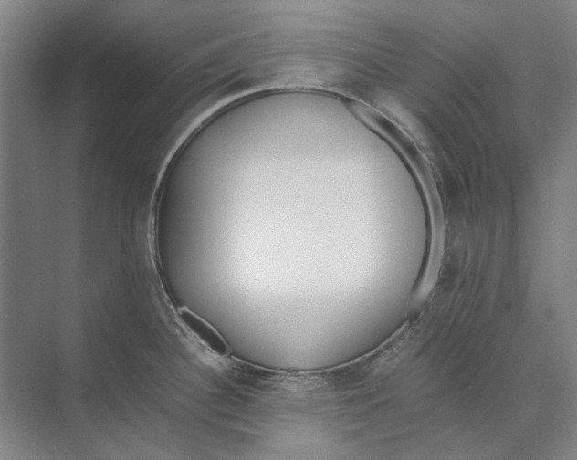 X0000071931340200608041451
