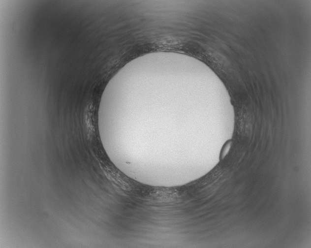 X0000071931346200608041450