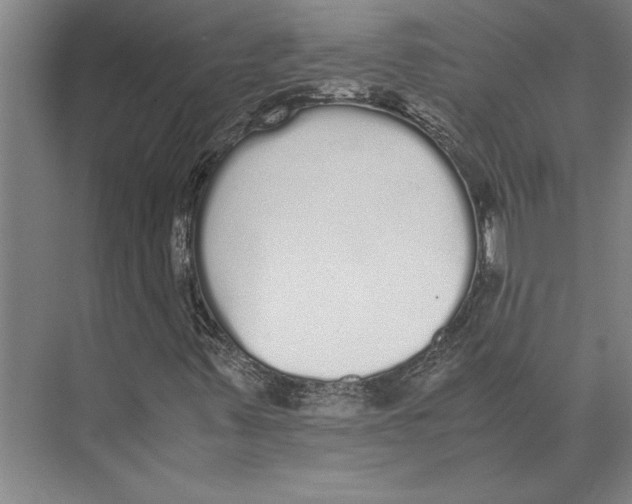 X0000071931347200608041450