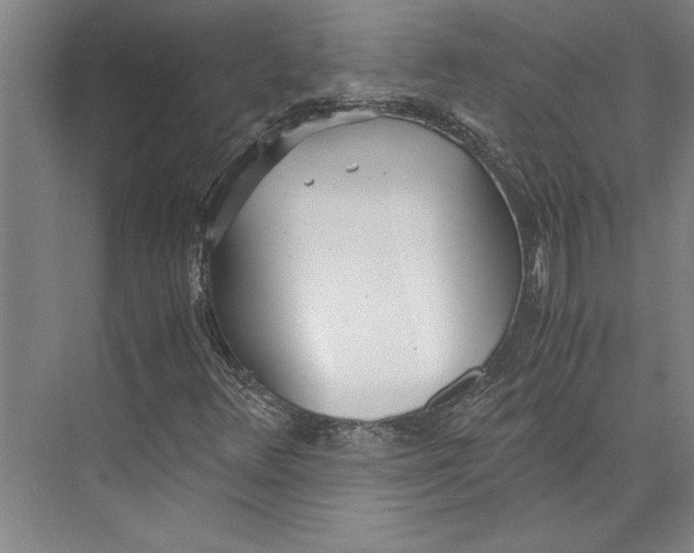 X0000071931348200608041450
