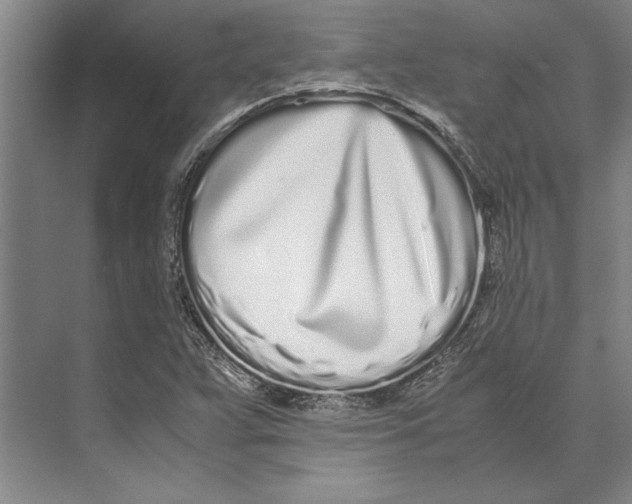 X0000071931359200608041450