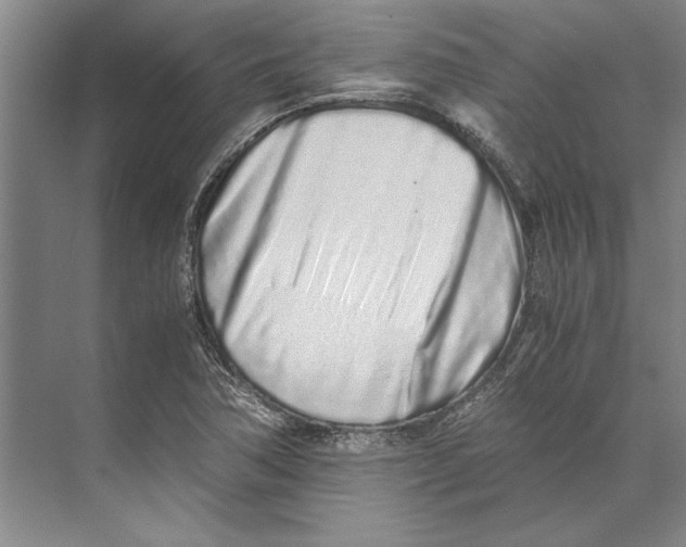 X0000071931362200608041450