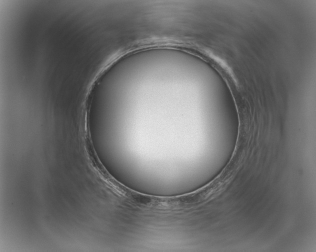 X0000071931365200608041450