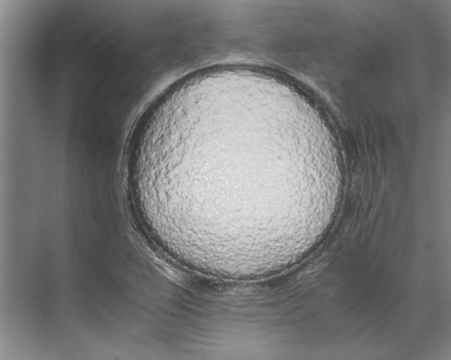 X0000071931367200608041450