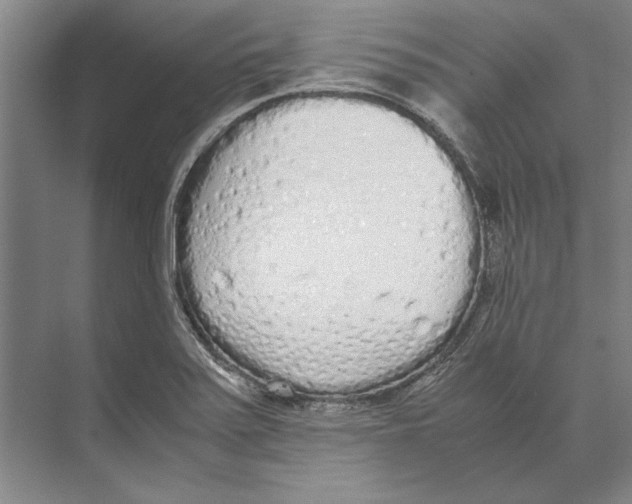 X0000071931371200608041450