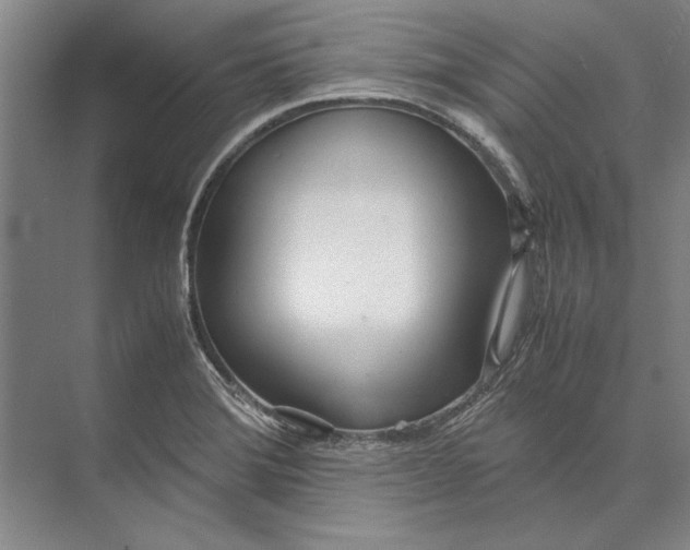X0000071931372200608041450