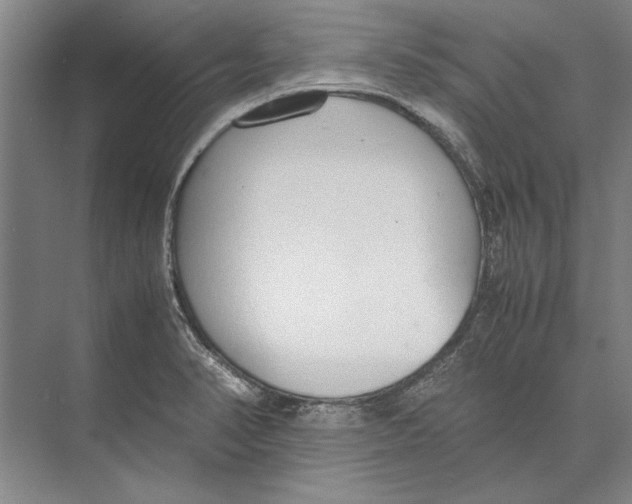 X0000071931374200608041450
