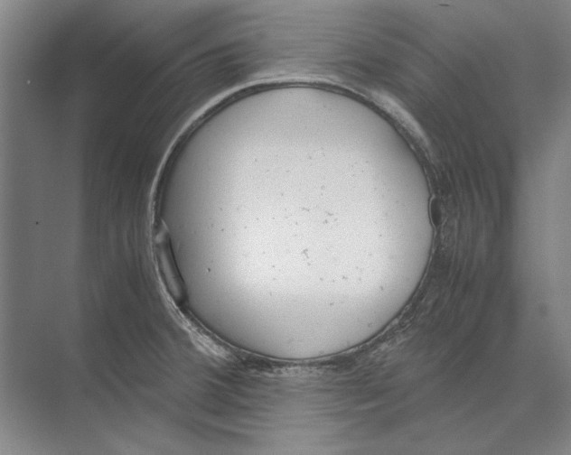 X0000071931380200608041449