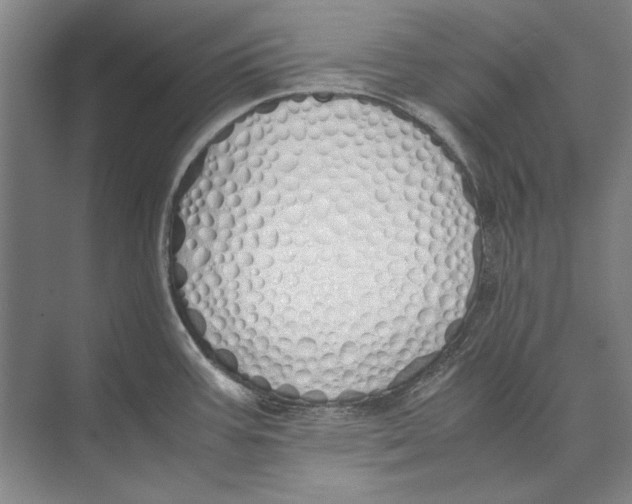 X0000071931387200608041449