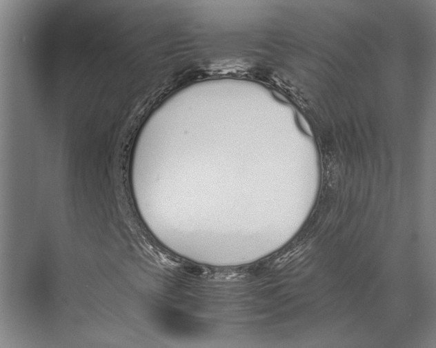 X0000071931393200608041448