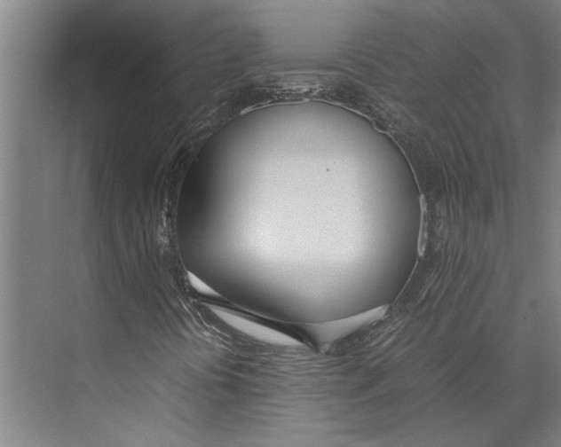X0000071931394200608041448