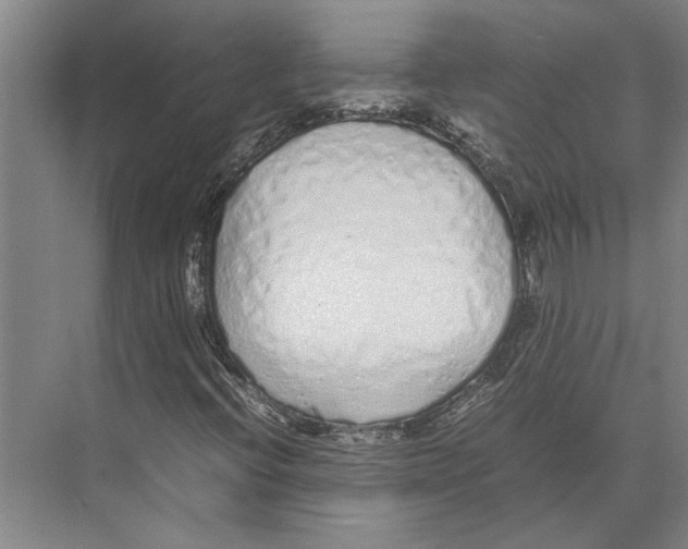 X0000071931396200608041449