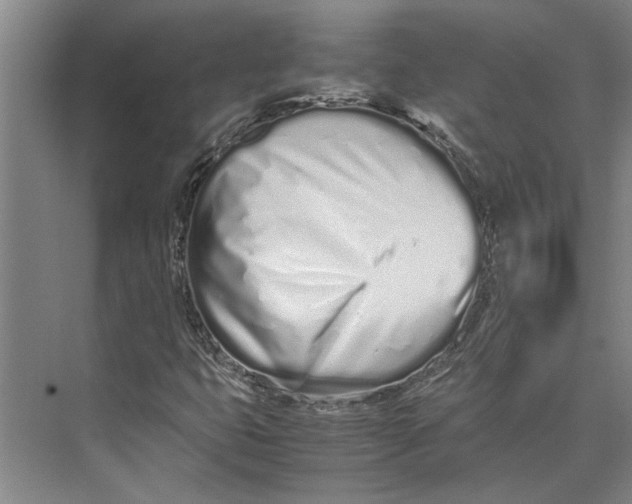 X0000071931399200608041449