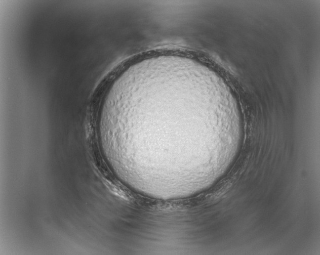 X0000071931400200608041449