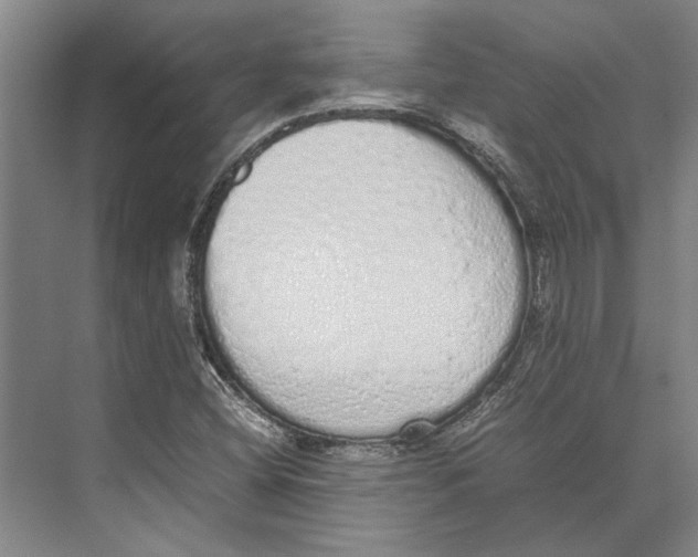 X0000071931404200608041449