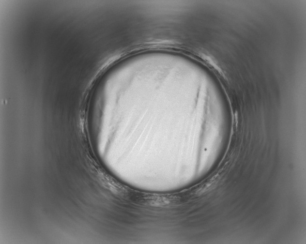 X0000071931405200608041449