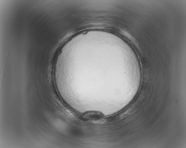 X0000071931411200608041449