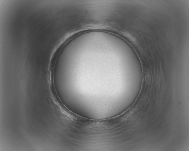 X0000071931414200608041449