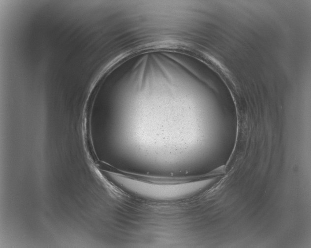 X0000071931418200608041449