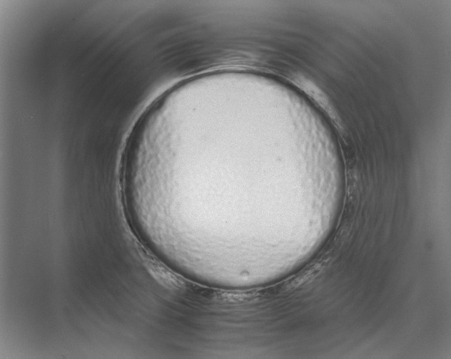 X0000071931427200608041449