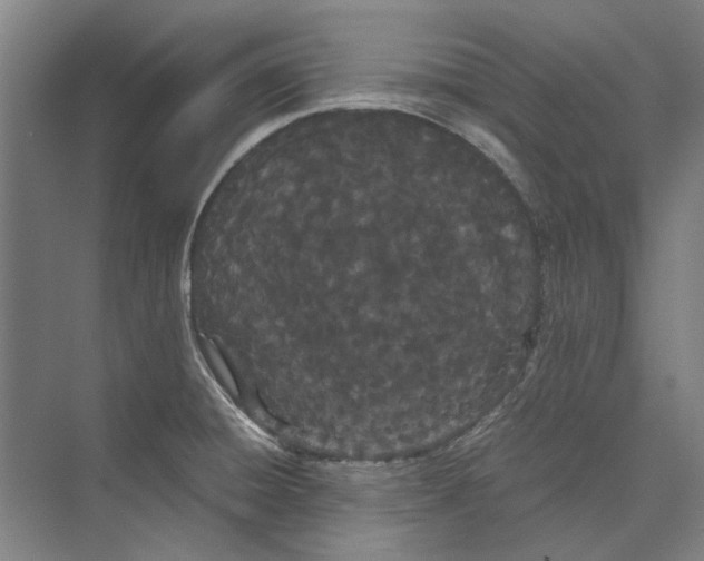 X0000071931428200608041449