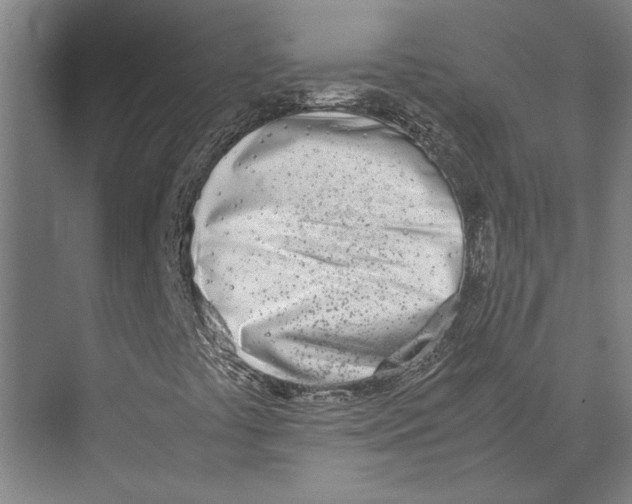 X0000071931441200608041448