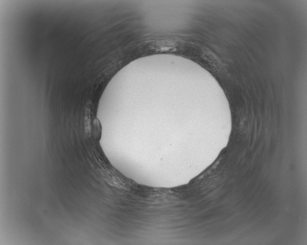 X0000071931442200608041448
