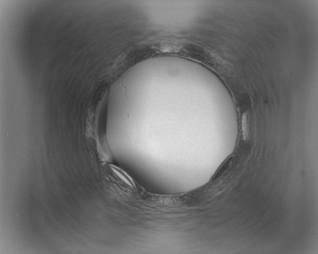 X0000071931443200608041448