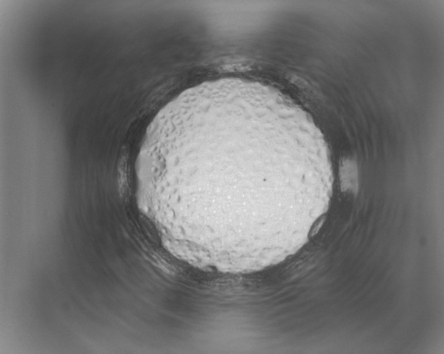 X0000071931444200608041448