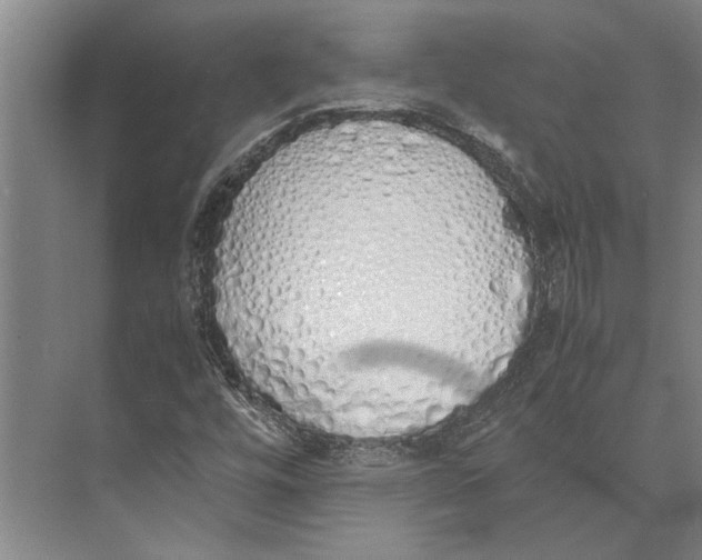 X0000071931448200608041448