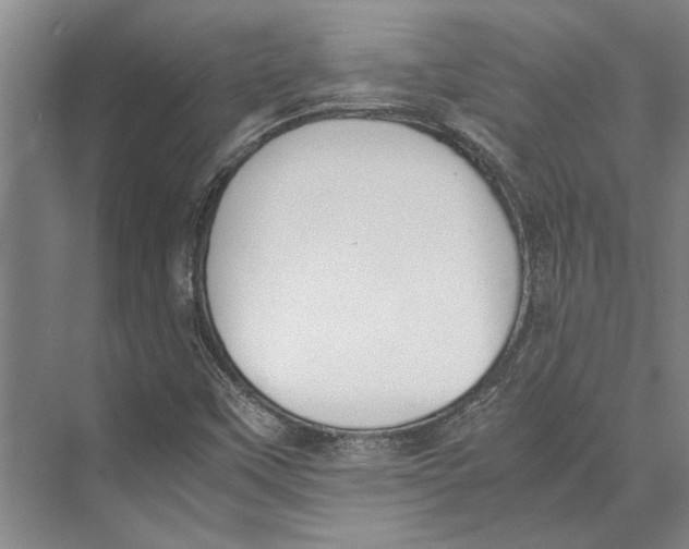 X0000071931451200608041448
