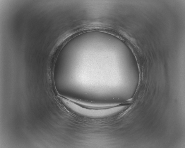X0000071931453200608041448
