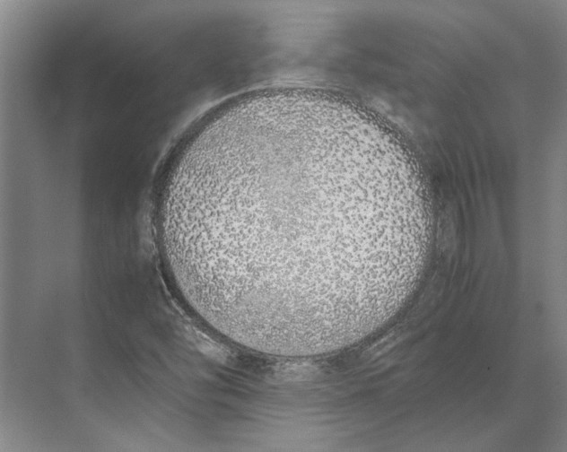 X0000071931454200608041448