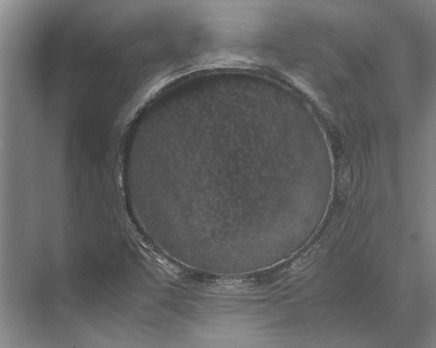 X0000071931455200608041448