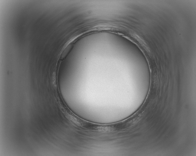 X0000071931465200608041448