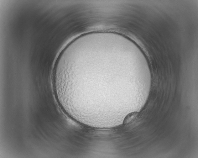 X0000071931486200608041448
