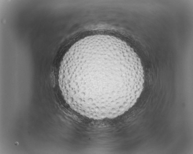 X0000071931493200608041447