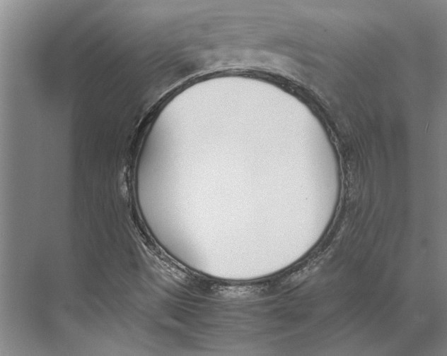 X0000071931497200608041447
