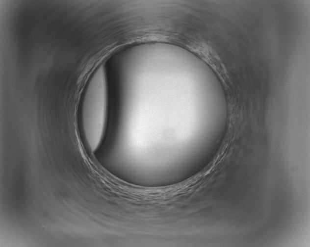 X0000071940001200607071025