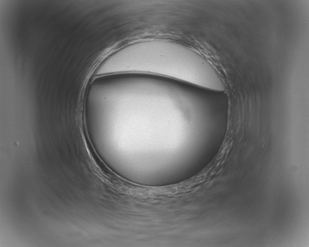 X0000071940003200607071025