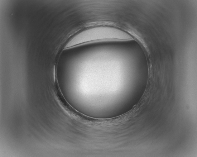 X0000071940013200607071025
