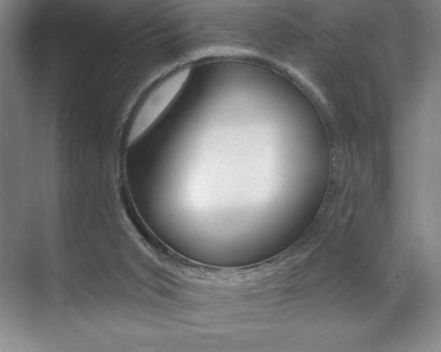 X0000071940015200607071025