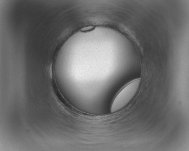 X0000071940019200607071025