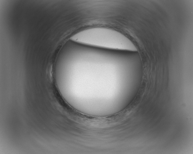 X0000071940024200607071025