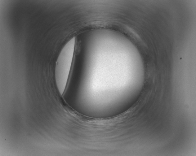 X0000071940025200607071025