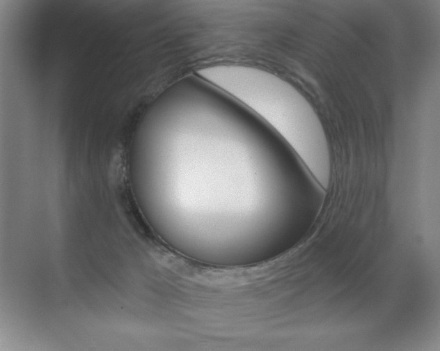 X0000071940029200607071025