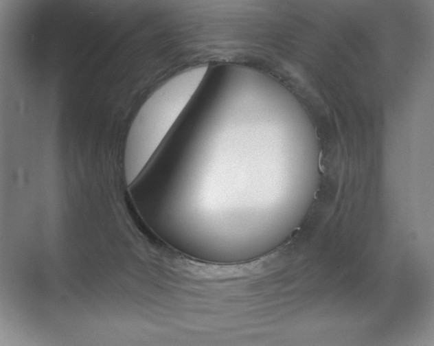 X0000071940031200607071025