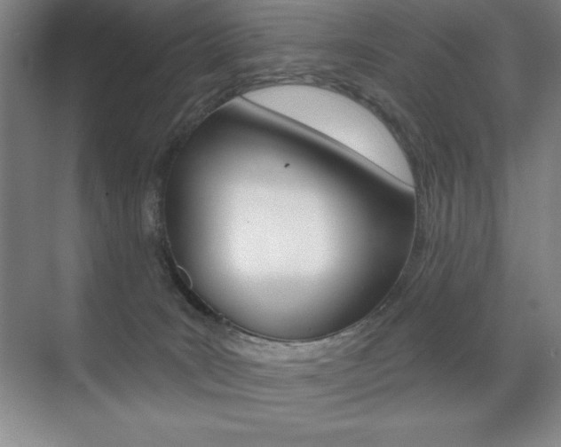 X0000071940035200607071025