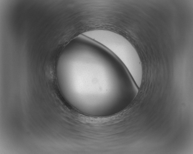 X0000071940039200607071025